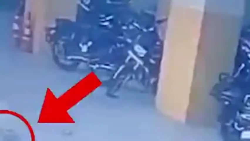 सांगानेर: जयपुर में पत्नी से मनमुटाव के चलते निजी स्कूल के मालिक ने 7वीं मंजिल से कूदकर की आत्महत्या, FSL टीम ने जुटाए साक्ष्य