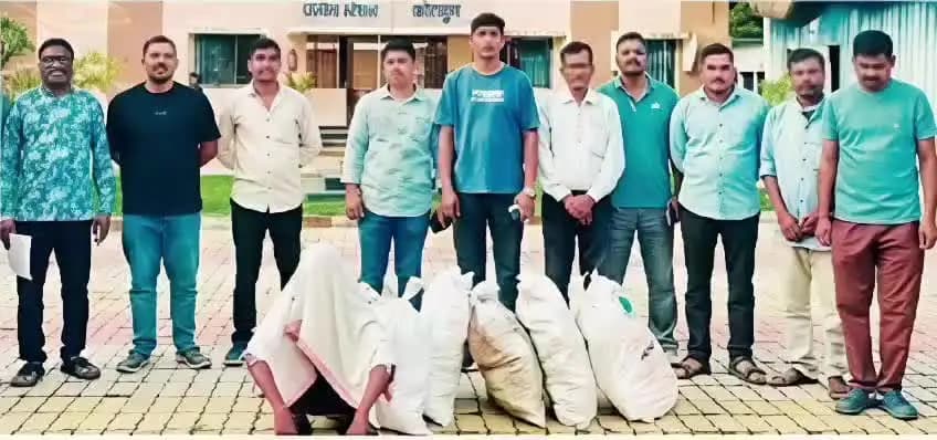 एटापल्ली: नांगपूर गावात घरामागील परसबागेत बेकायदेशीर गांजाची लागवड, एलसीबीने केली उध्वस्त