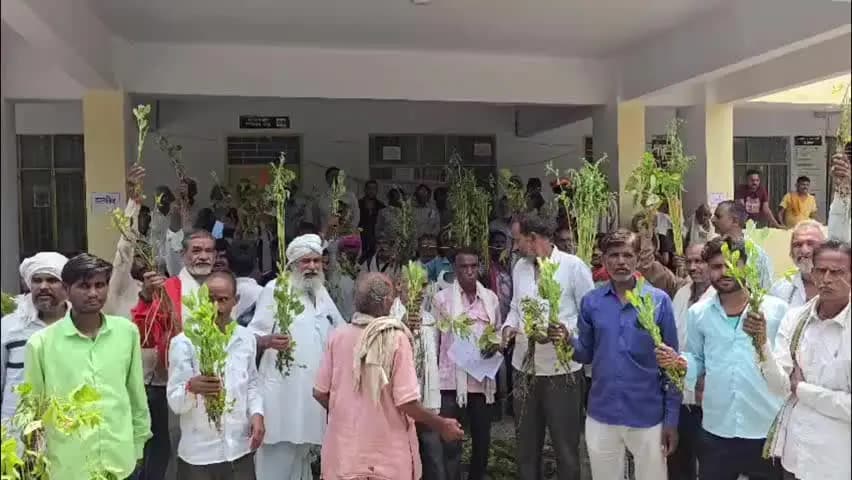 मऊरानीपुर: बारिश की मार से किसान बेहाल, मुआवजे को लेकर मऊरानीपुर तहसील में किसानों ने किया प्रदर्शन