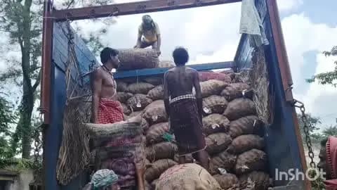 କନ୍ଧମାଳ: କନ୍ଧମାଳ ଜିଲ୍ଲାର ବିଭିନ୍ନ ସ୍ଥାନରେ ଆରମ୍ଭ ହେଲା ଆଳୁ ବିହନ ପ୍ରଦାନ ପ୍ରକ୍ରିୟା