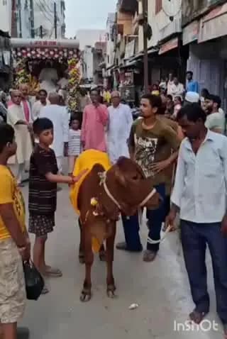 जलालपुर: जलालपुर में गौ-चरावन मेले की धूम, रथ पर सवार बालकृष्ण-बलराम का फूलों से स्वागत, जय श्रीकृष्ण की जयघोष से गूंजा नगर