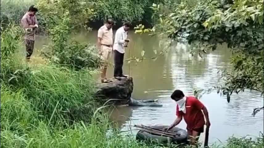 देवरी: महाराजपुर के मड़वा ग्राम स्थित बिजौरा नदी में मिला अज्ञात युवक का आधा शव, मगरमच्छ के हमले की आशंका