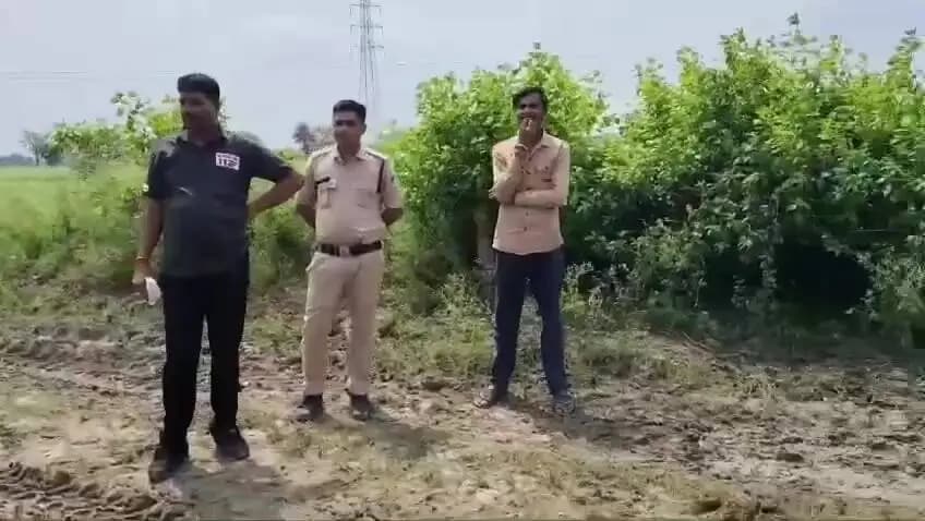 बीना: नौगांव इंडस्ट्रीज एरिया के पास 10 फीट के मगरमच्छ से दहशत, वन विभाग का अमला बिना रेस्क्यू किए लौटा
