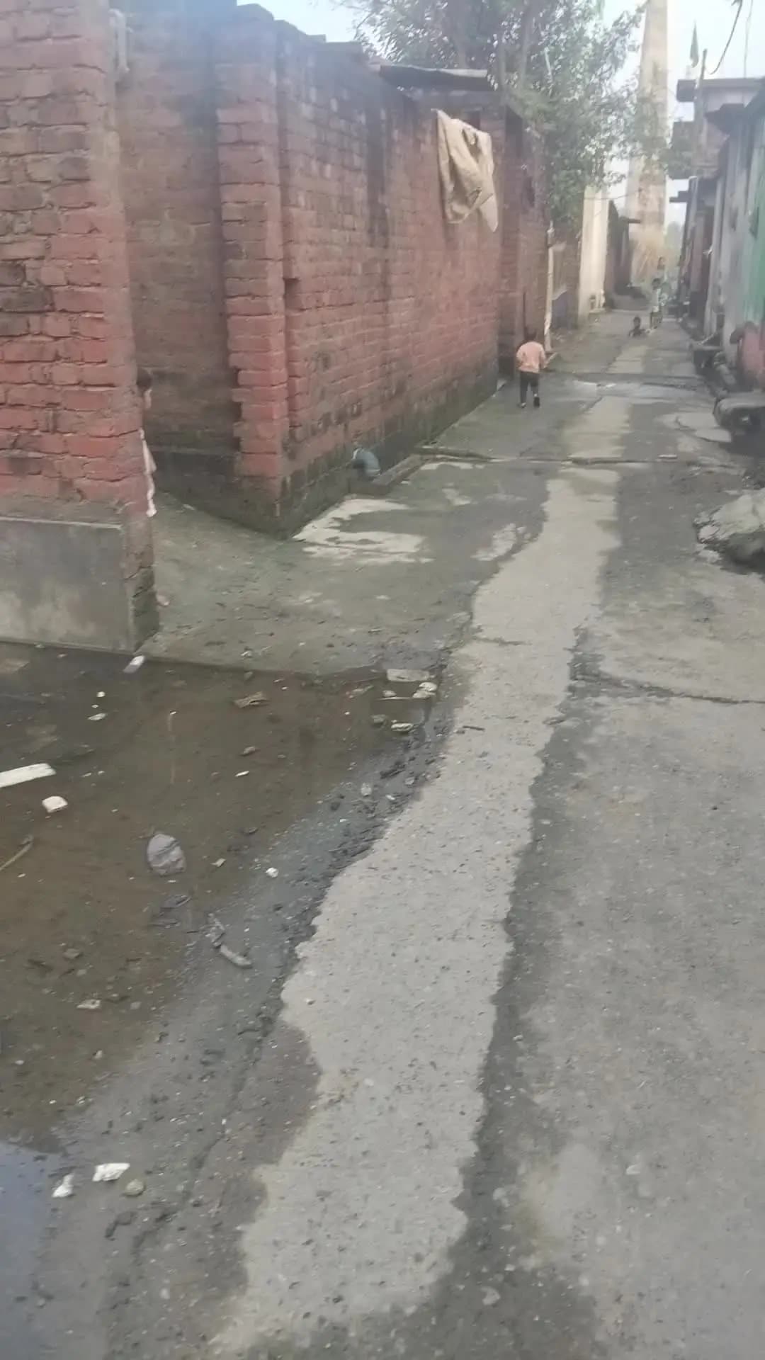 dhamare ka mohalla telipura