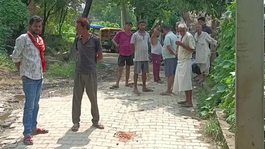 चकरनगर: विद्युतपोल में उतरा करंट, डेढ़ लाख की भैंस की दर्दनाक मौत, जंजीर पकड़े युवक को भी लगा करंट, अस्पताल में उपचार जारी