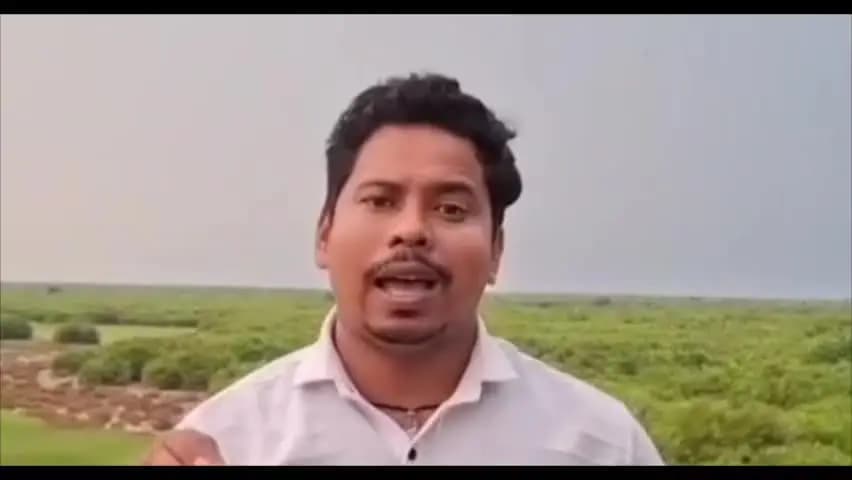 କେନ୍ଦ୍ରାପଡା: ବଢୁଛି ହେନ୍ତାଳ ବନ, ବିପଦ କାଠ ମାଫିଆ ଙ୍କର।