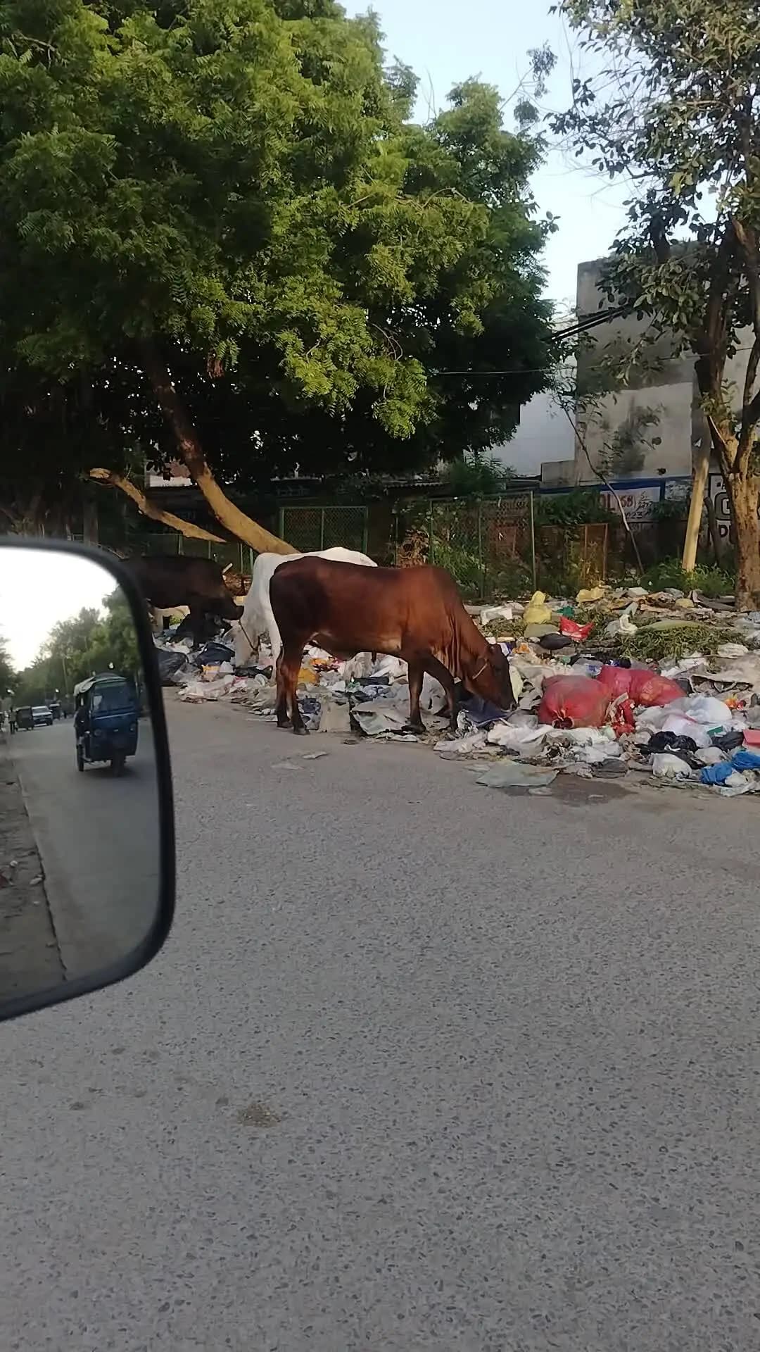 Gurgaon Laxman Vihar Road ke halat