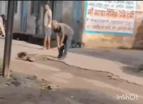 भिंड नगर: भिंड में कुत्ते को लाठियों से पीटा, शव नदी किनारे फेंका