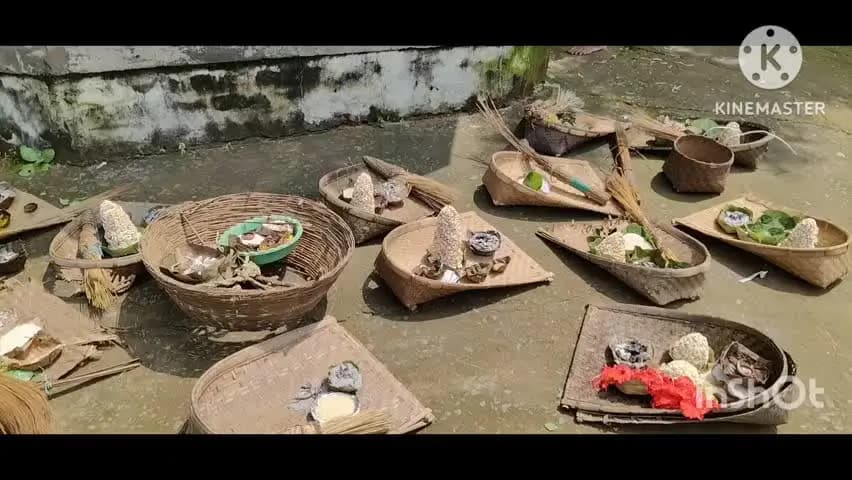 ଜୁନାଗଡ: ଗୁମାବାହାଲ ଠାରେ ପାଳିତ ହେଲା ପାରମ୍ପରିକ ରୋଗ ବୋହଲେନ ଯାତ୍ରା