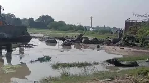 फतेहपुर: भैरमपुर गांव में पकड़े गए ट्रकों से मृतक मवेशियों को फोर्स ने कराया दफन, दो दर्जन मवेशियों की हुई मौत, लोगों में आक्रोश