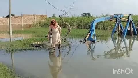 निघासन: दौलतापुर गांव में शारदा नदी की बाढ़ का कहर, जनजीवन अस्त-व्यस्त