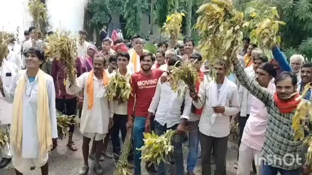 राघोगढ़: दुर्गापुर गांव में पीली पड़ने से सोयाबीन की फसल पूरी तरह नष्ट, किसान पौधे लेकर पहुंचे तहसील कार्यालय
