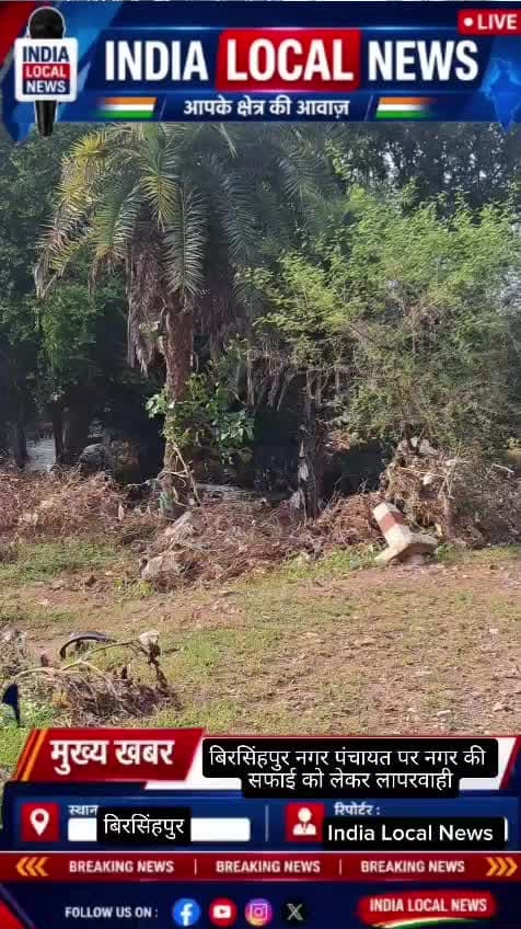 बाढ़ के बाद सितावा नदी के पास कचरे का अंबार, नगर पंचायत की सफाई व्यवस्था पर सवाल
बिरसिंहपुर में बाढ़ के बाद सतना रोड स