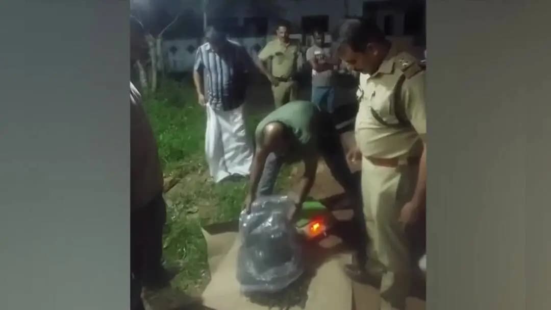 കോഴിക്കോട്: തിരുവമ്പാടിയിൽ 5.09 ഗ്രാം കഞ്ചാവുമായി ബംഗാൾ സ്വദേശി പിടിയിൽ