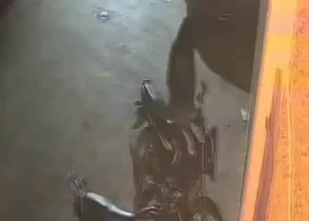 बुदनी: जिले के बुधनी में कॉलोनी में घर के बाहर खड़ी बाइक चोरी, वारदात CCTV में कैद, वीडियो वायरल