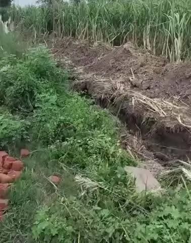 चनपटिया: कुमारबाग औद्योगिक क्षेत्र में बाउंड्री निर्माण विवाद पर प्राथमिकी, दो गिरफ्तार