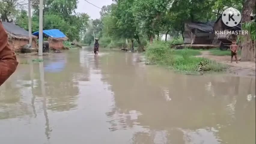 गुन्नौर: जुनावई विकास खंड क्षेत्र के गांव बझांगी समेत कई गांवों में बाढ़ का पानी घुसा, खेतों में खड़ी फसलें जलमग्न हुईं