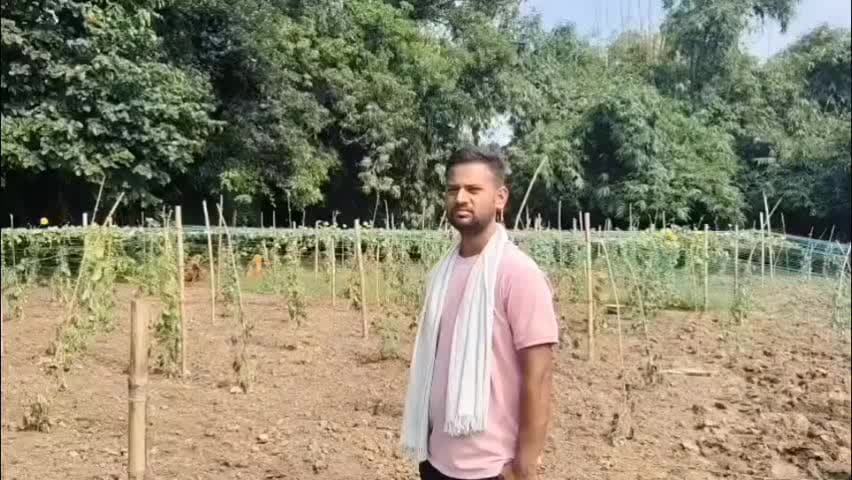 सूरजगढ़: सूरजगढा थाना क्षेत्र में रतनुपुर में युवा किसान की खीरे की फसल काटकर बर्बाद, अज्ञात लोगों पर आरोप