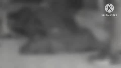 रानीगंज: इटहरा बार्डर के पास अज्ञात वाहन की टक्कर से महिला की मौत, पहचान करने में जुटी पुलिस