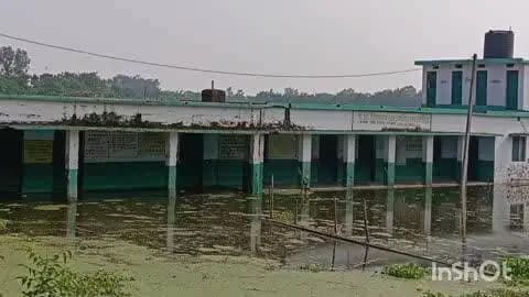 उधवा: गंगा नदी के जलस्तर में वृद्धि होने से उधवा के एक दर्जन से अधिक सरकारी विद्यालयों में घुसा बाढ़ का पानी, पढ़ाई प्रभावित