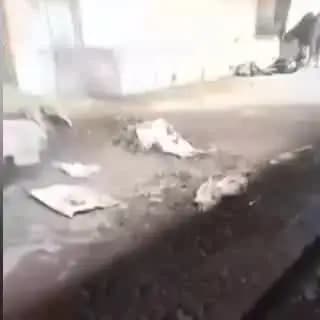 रायपुर: रायपुर के ग्राम मुरेठी की गौशाला का वीडियो वायरल, कुत्तों द्वारा गौमाता को नोचने का मामला, कार्रवाई की मांग