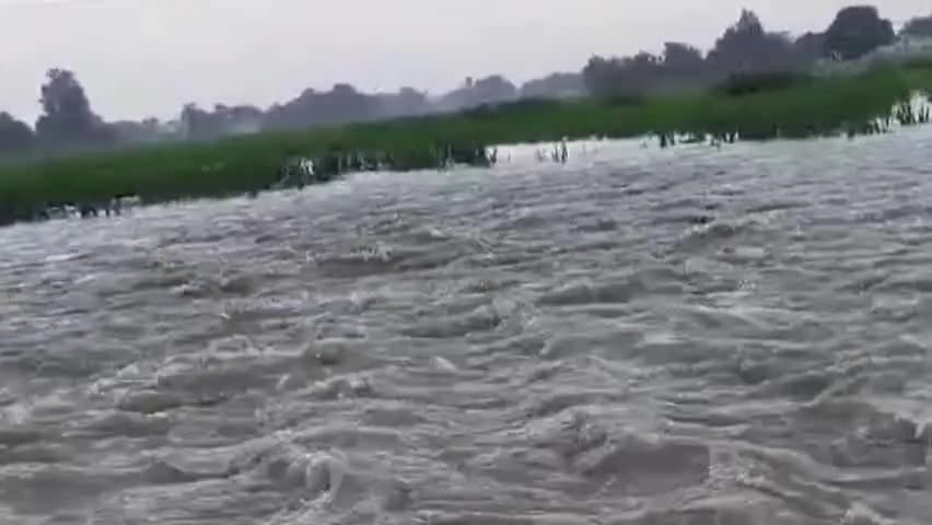 आज़मगढ़: लपसीपुर के तैयबपुर में 10 दिन में तीन बार कटी नहर, किसानों की मेहनत पर फिरा पानी, सैकड़ों बीघा फसल डूबी