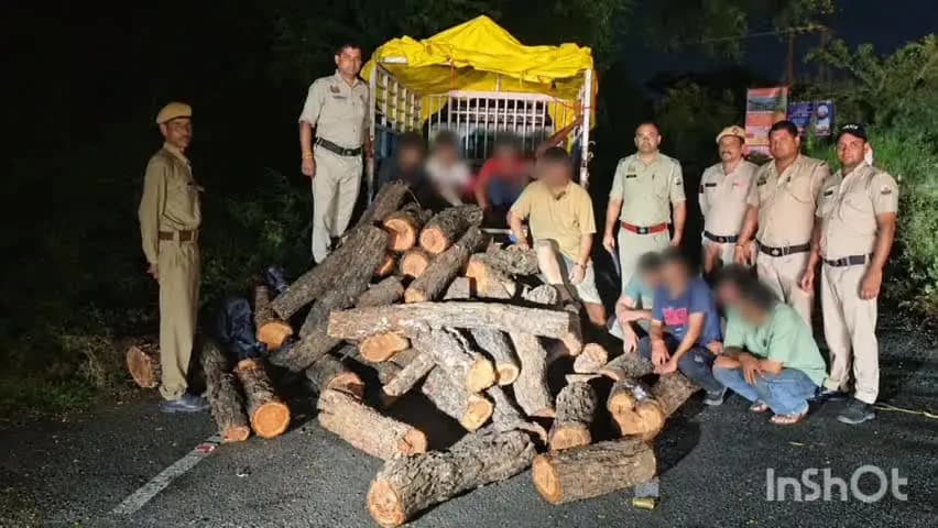 फतेहपुर: डमटाल पुलिस ने वन माफिया के खिलाफ बड़ी कार्रवाई करते हुए खैर की लकड़ी के 84 मौछे बरामद किए