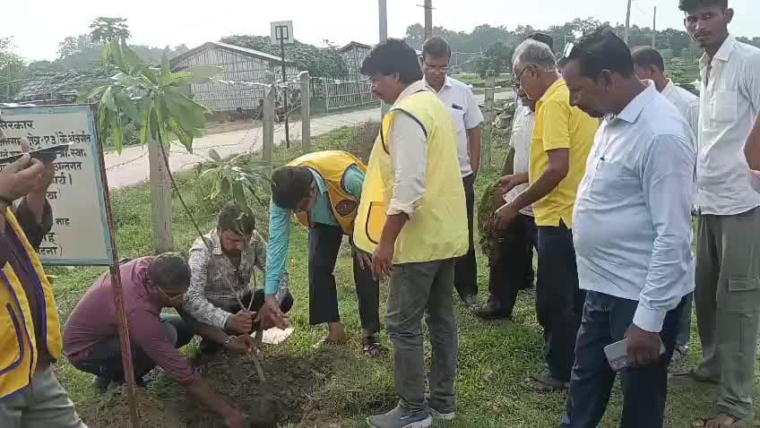 लायंस क्लब इंटरनेशनल, गम्हरिया, मधेपुरा ने सामुदायिक स्वास्थ्य केंद्र, गम्हरिया के प्रांगण में किया वृक्षारोपण