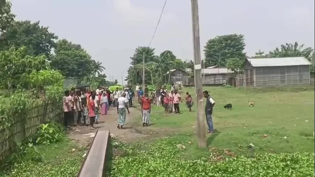 বালিজানা: পাখিউৰাচৰত গোৱালপাৰা আঞ্চলিক বন বিষয়াৰ চোৰাং কাঠৰ বিৰুদ্ধে অভিযান,শূন্যলৈ গুলী চালনাৰে চোৰাং কাঠ জব্দ