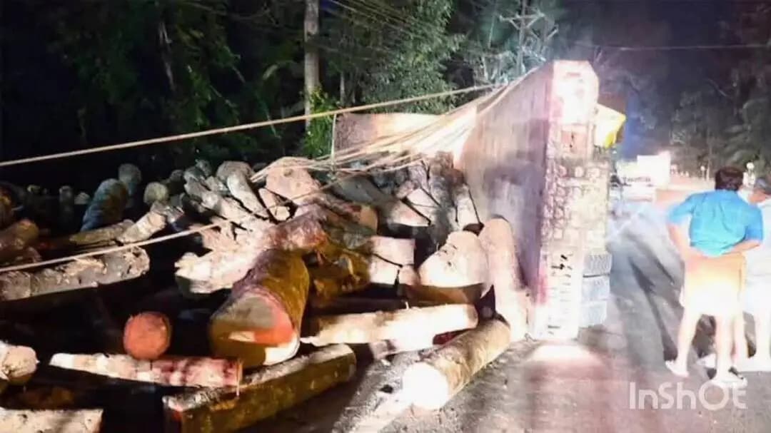 കാഞ്ഞിരപ്പള്ളി: ചിറക്കടവിൽ തടിലോറി മറിഞ്ഞ് ഡ്രൈവർക്ക് ദാരുണാന്ത്യം
