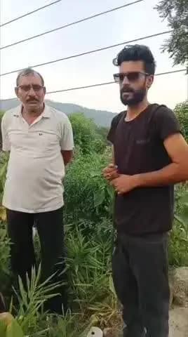 बिलासपुर सदर: बिलासपुर के चांदपुर में बड़ा खतरा: मकानों से सटी बिजली की तारों से बच्चे को लगा करंट