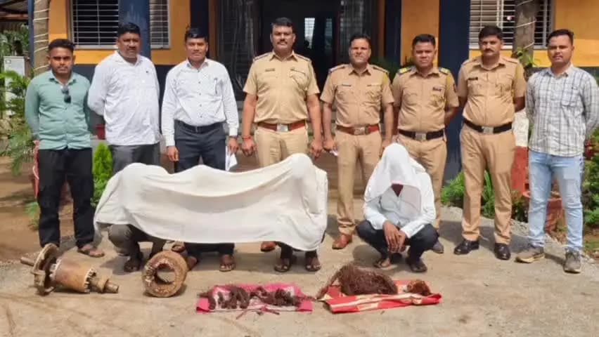 तुमसर: सिहोरा पोलिसांची मोठी कारवाई: सोलर केबल चोरी करणाऱ्या सराईत टोळीचा पर्दाफाश, ४ जणांना अटक