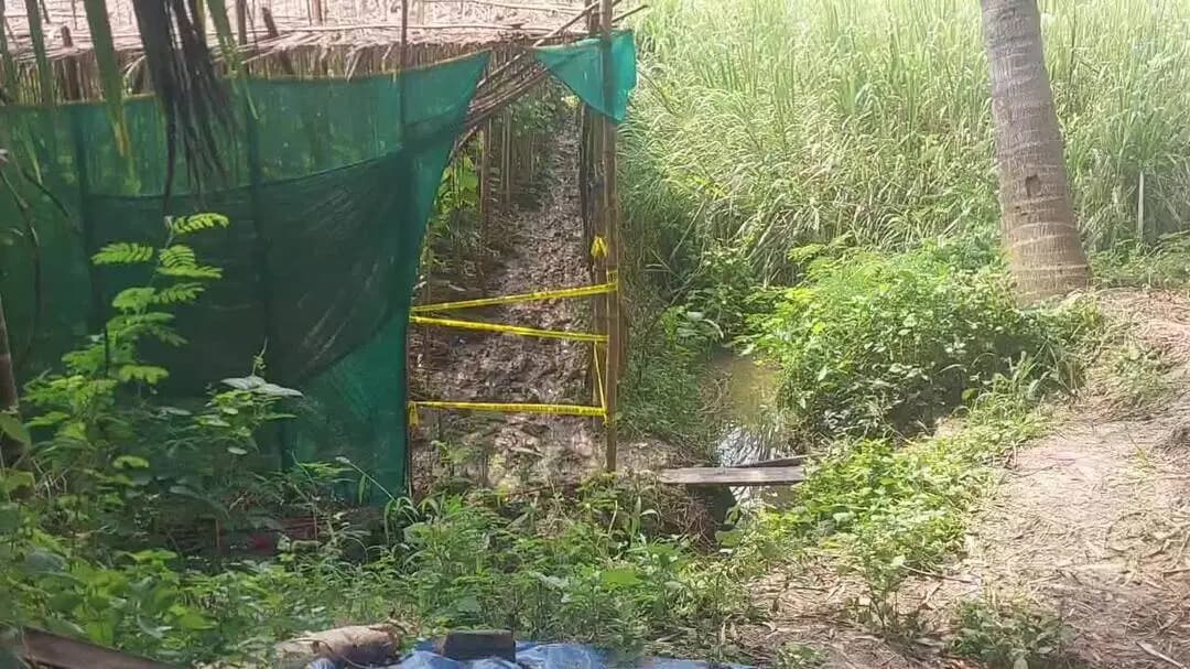 ময়না: পূর্ব দক্ষিণ ময়না গ্রামে পানের বরজ থেকে হাত মুখ বাধা বিবস্ত্র মহিলার মৃতদেহ উদ্ধারের ঘটনায় আটক 3