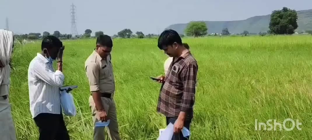 पाटन: कटंगी के काटूआ पड़रिया हार में मिली अज्ञात लाश, पुलिस जांच में जुटी