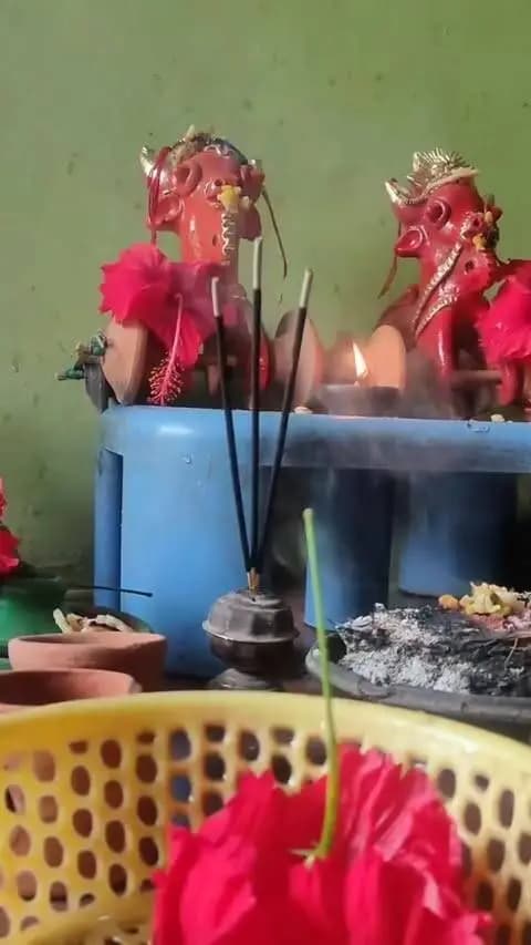 गांव की माटी में रची-बसी परंपरा, पोला तिहार की खुशियां।
छत्तीसगढ़ की समृद्ध लोक संस्कृति और कृषि परंपरा का प्रतीक पोला तिहार गांव में उत्साह और उमंग के साथ मनाया गया।
किसानों के जीवन में महत्वपूर्ण स्थान रखने वाले बैलों की पूजा-अर्चना कर सुख-समृद्धि और अच्छी फसल की कामना की गई।
लोक परंपरा, आस्था और संस्कृति का सुंदर संगम—पोला तिहार की हार्दिक शुभकामनाएं।
#पोला_तिहार #पोला_पर्व #लोकसंस्कृति #किसान #Gariyaband