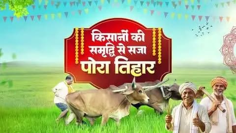 हमारे किसान भाई-बहनों की खुशियों में ही छत्तीसगढ़ की खुशियां बसती हैं।
पोरा तिहार हमारे अन्नदाताओं की मेहनत, पशुधन के प्रति उनके स्नेह और छत्तीसगढ़ की माटी से जुड़े संस्कारों का पावन पर्व है। किसान परिवारों की खुशहाली और खेती-किसानी की समृद्धि के लिए हमारी सरकार पूरी प्रतिबद्धता के साथ कार्य कर रही है।
आज के इस पावन अवसर पर हमारी कामना है कि हर किसान का घर सुख, समृद्धि और खुशहाली से भरा रहे। आप सभी को पोरा तिहार की गाड़ा-गाड़ा बधाई एवं हार्दिक शुभकामनाएं।
