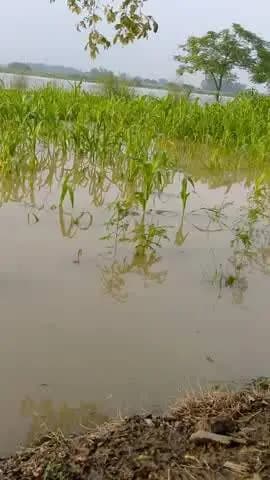 ग्राम तलेपुरवा सैंडी हरदोई