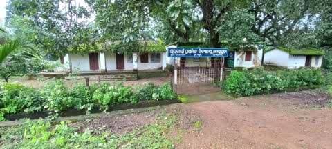 ମାଲକାନଗିରି: ଦୋରାଗୁଡ଼ା ସ୍କୁଲ ପରିସରରେ ବିପଦପୂର୍ଣ୍ଣ ଗଛ; ଭୟଭୀତ କୋମଳମତି ଛାତ୍ରଛାତ୍ରୀ