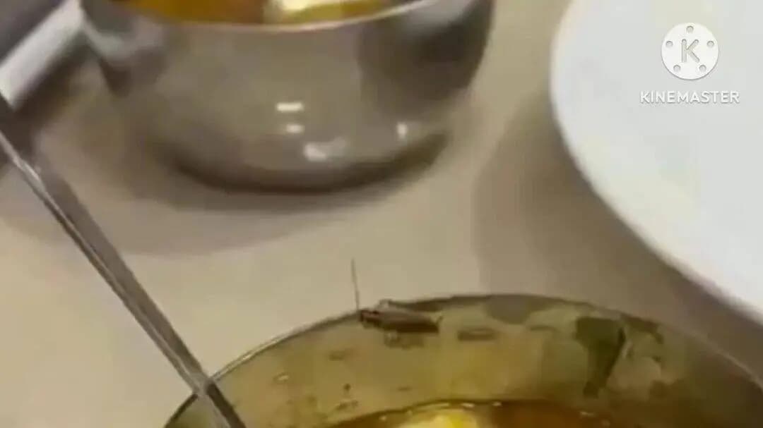 खेड: महाळुंगे येथील 'सा डोसा' कॅफेमध्ये खाद्यपदार्थात आढळले झुरळ, ग्राहकाचा आरोप