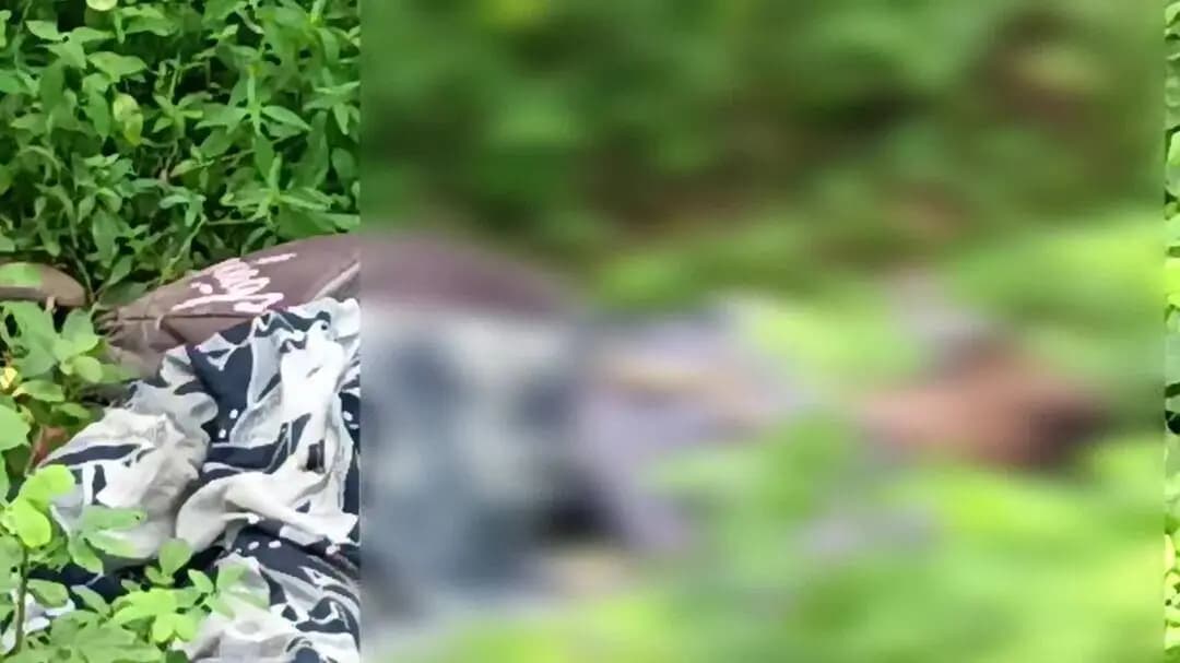 वारासिवनी: रेलवे स्टेशन की झाड़ियों में युवती का शव मिला, शिनाख्त हुई; पुलिस हत्या या आत्महत्या की गुत्थी सुलझाने में जुटी