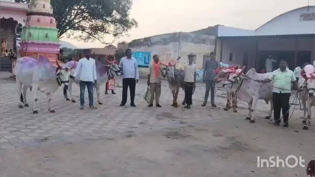 मालेगाव: नांदगाव तालुक्यात पोळा सण उत्साहात साजरा