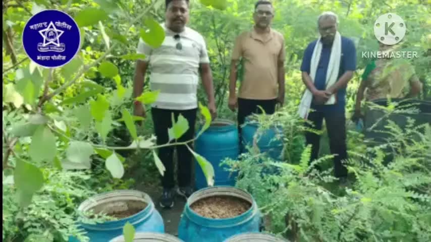 भंडारा: कारधा पोलिसांची हातभट्टी दारू अड्ड्यांवर धडक कारवाई, 2.12 लाखांचा सडवा मोहाफास जप्त करत दोन महिलांविरुद्ध गुन्हे दाखल