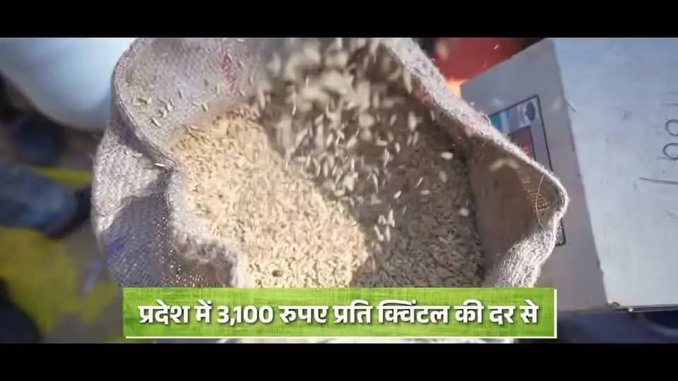 हमारे किसान भाई-बहनों की खुशियों में ही छत्तीसगढ़ की खुशियां बसती हैं।
पोरा तिहार हमारे अन्नदाताओं की मेहनत, पशुधन के प्रति उनके स्नेह और छत्तीसगढ़ की माटी से जुड़े संस्कारों का पावन पर्व है। किसान परिवारों की खुशहाली और खेती-किसानी की समृद्धि के लिए हमारी सरकार पूरी प्रतिबद्धता के साथ कार्य कर रही है।
आज के इस पावन अवसर पर हमारी कामना है कि हर किसान का घर सुख, समृद्धि और खुशहाली से भरा रहे। आप सभी को पोरा तिहार की गाड़ा-गाड़ा बधाई एवं हार्दिक शुभकामनाएं।