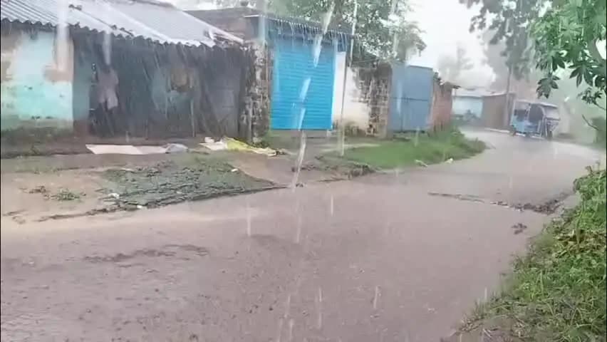 सनहौला: कहलगांव क्षेत्र में तेज हवा के साथ हो रहे मूसलाधार बारिश से बाढ़ पीड़ितों की बढ़ रही है चिंता गंगा का जलस्तर बढ़ने का सत