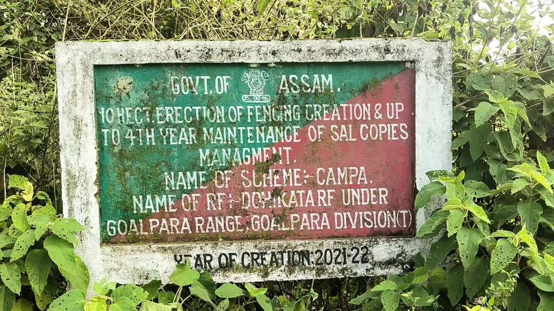 মাটিয়া: গোৱালপাৰা সামাজিক বনানীকৰণত অনিয়মৰ অভিযোগ