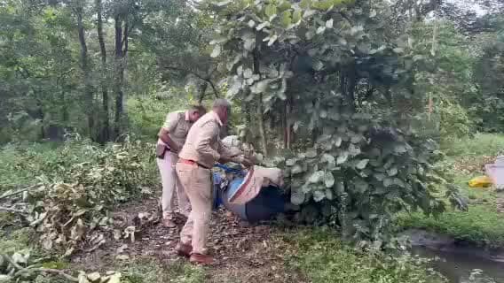 पनागर: पनागर पुलिस ने घने जंगलों में अवैध शराब की भट्ठियों पर की बड़ी कार्रवाई, 600 लीटर लाहन नष्ट कर वाहन जब्त किए