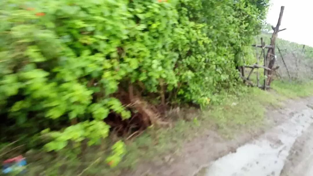 आप देख रहे हो कि कितना खराब रास्ता में कितना पानी भरा हुआ है बहुत से गडी गडा है ग्राम कमोद से सरेलु मार्ग