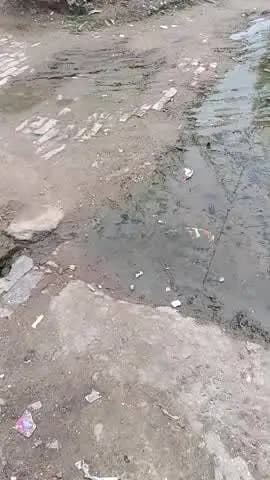 #tenduaawan Naini prayagraj