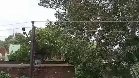 कासगंज: गांव बेरी में घरों के अंदर बिजली के पोल, ऊपर से गुजर रही 11 हजार वोल्ट की हाईटेंशन लाइन, हादसे का खतरा