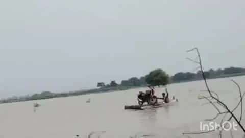 उधवा: उधवा प्रखंड के दियारा बाढ़ प्रभावित इलाकों में नाव बना सहारा